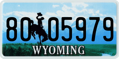 WY license plate 8005979