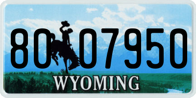 WY license plate 8007950
