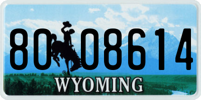 WY license plate 8008614
