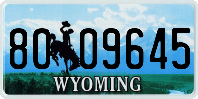 WY license plate 8009645