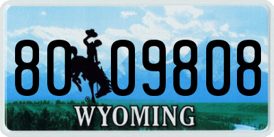 WY license plate 8009808