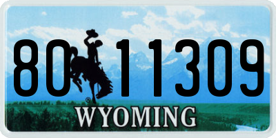 WY license plate 8011309