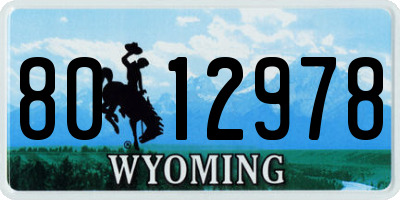 WY license plate 8012978