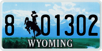 WY license plate 801302
