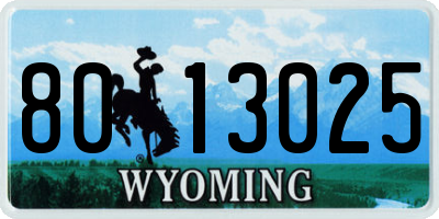 WY license plate 8013025