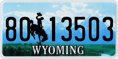 WY license plate 8013503