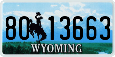 WY license plate 8013663