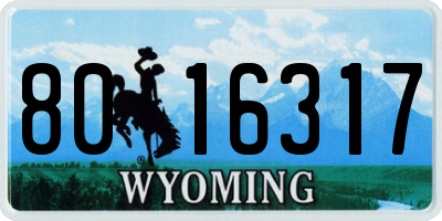 WY license plate 8016317