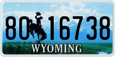 WY license plate 8016738