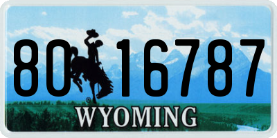 WY license plate 8016787