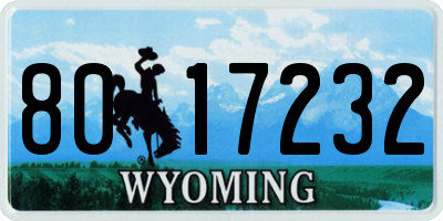WY license plate 8017232