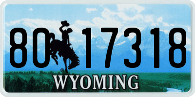 WY license plate 8017318