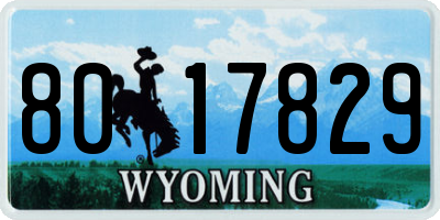 WY license plate 8017829