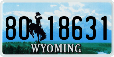 WY license plate 8018631