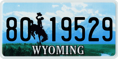 WY license plate 8019529