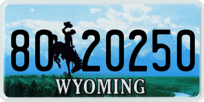 WY license plate 8020250