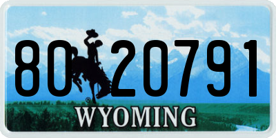 WY license plate 8020791