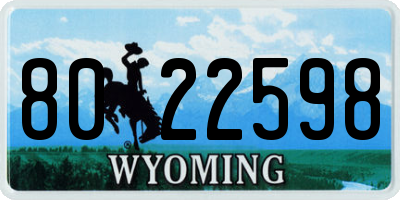 WY license plate 8022598