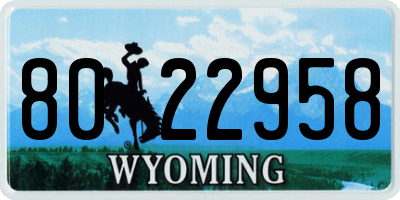 WY license plate 8022958