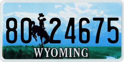 WY license plate 8024675