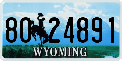 WY license plate 8024891