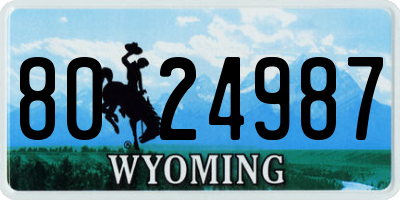 WY license plate 8024987
