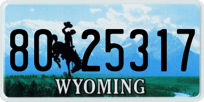 WY license plate 8025317