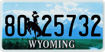 WY license plate 8025732