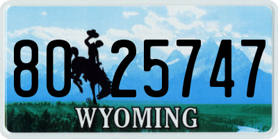 WY license plate 8025747
