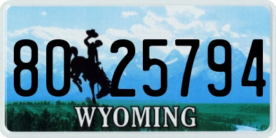 WY license plate 8025794