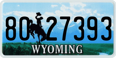 WY license plate 8027393