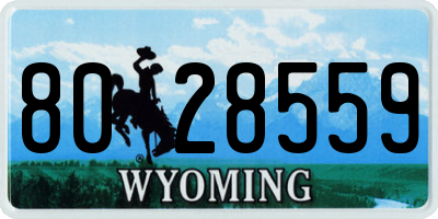 WY license plate 8028559