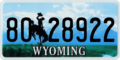 WY license plate 8028922