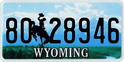WY license plate 8028946
