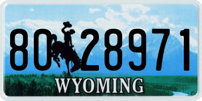 WY license plate 8028971