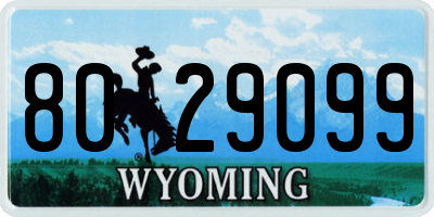 WY license plate 8029099