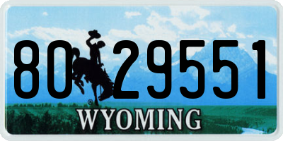 WY license plate 8029551