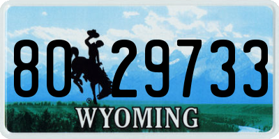 WY license plate 8029733