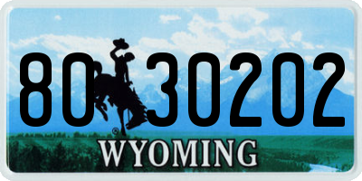WY license plate 8030202