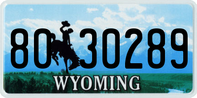 WY license plate 8030289