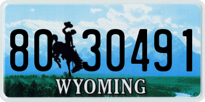 WY license plate 8030491