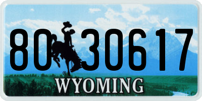WY license plate 8030617