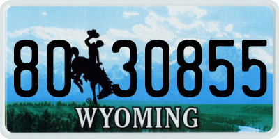 WY license plate 8030855