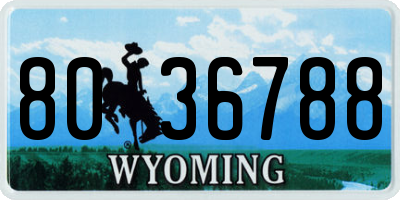 WY license plate 8036788