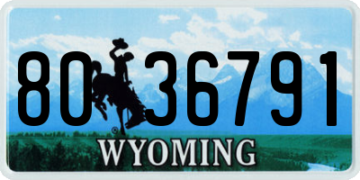 WY license plate 8036791