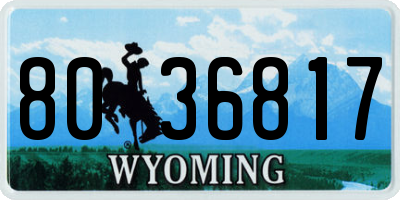 WY license plate 8036817