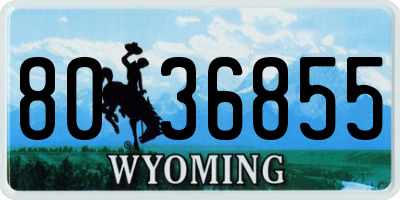 WY license plate 8036855