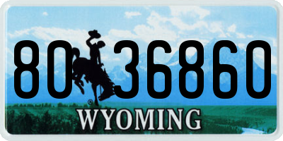 WY license plate 8036860