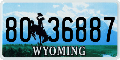 WY license plate 8036887