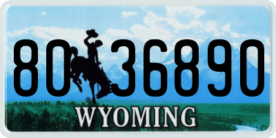 WY license plate 8036890